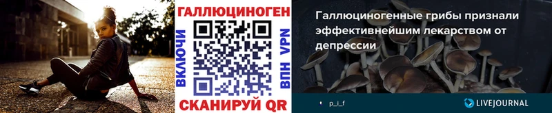 закладки  kraken ссылки  Псилоцибиновые грибы Psilocybe  Тарко-Сале 
