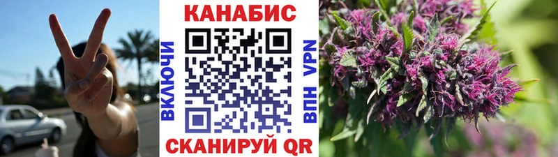 Каннабис OG Kush Тарко-Сале