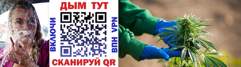 Конопля MAZAR  mega рабочий сайт  Тарко-Сале 